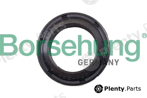 Borsehung B17833 — Shaft Seal, clutch release bearing shaft