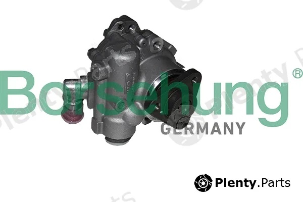 Borsehung B18222 — Hydraulic Pump, steering