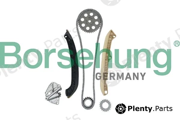 Borsehung B16294 — Timing Chain Kit
