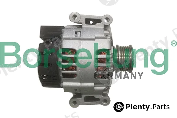 Borsehung B19114 — Alternator