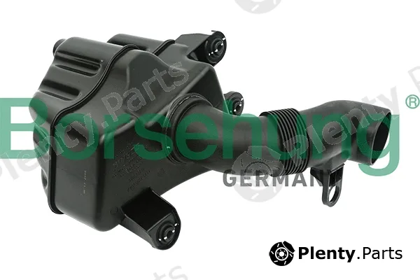 Borsehung B12830 — Air Intake System