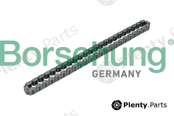 Borsehung B17885 — Timing Chain