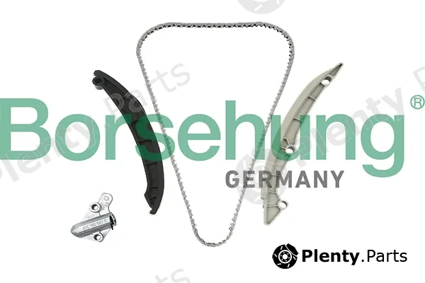 Borsehung B19257 — Timing Chain Kit