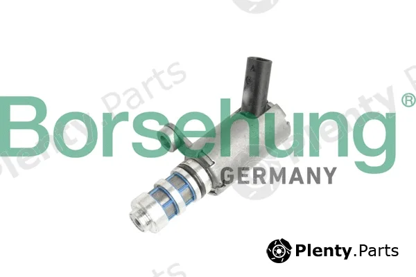 Borsehung B11858 — Central Valve, camshaft adjustment
