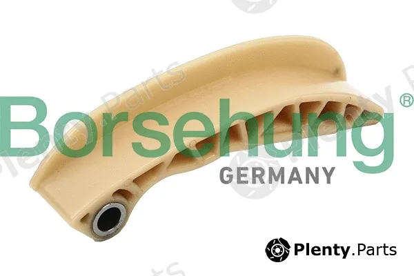 Borsehung B1G025 — Guide, timing chain