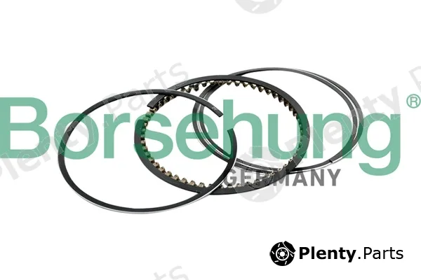 Borsehung B10367 — Piston Ring Kit
