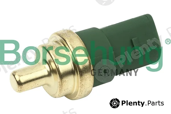 Borsehung B13132 — Sensor, coolant temperature