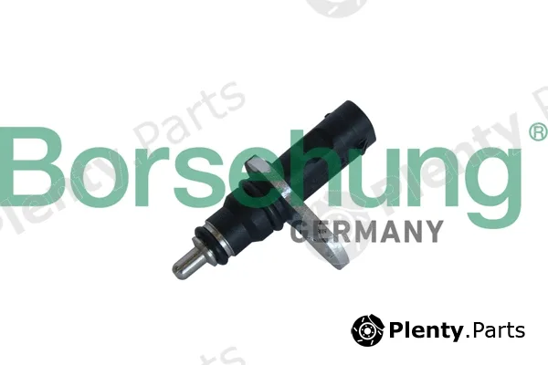 Borsehung B11863 — Sensor, coolant temperature