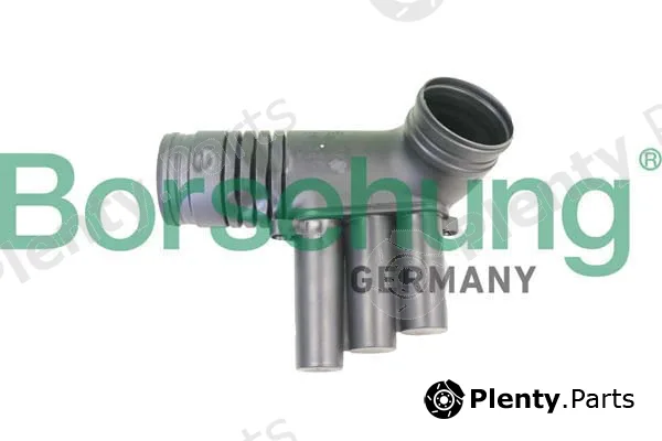 Borsehung B12330 — Intake Hose, air filter