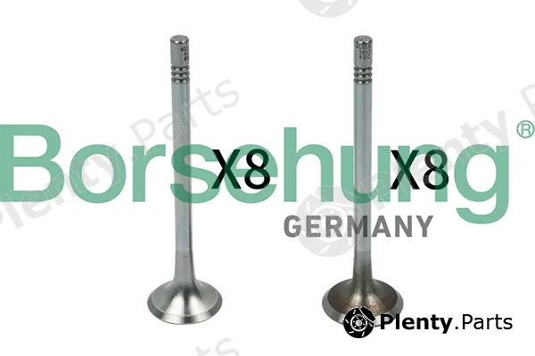 Borsehung B18142 — Valve Kit, intake/exhaust valve