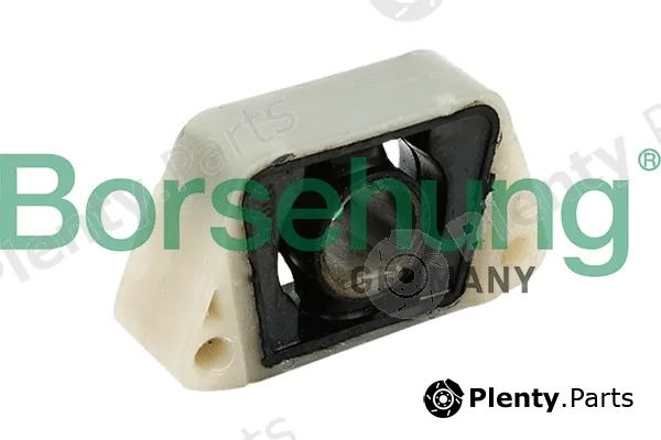 Borsehung B11360 — Mounting, radiator