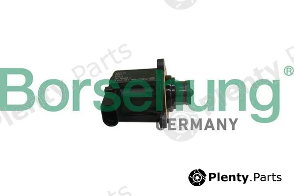 Borsehung B12336 — Boost Pressure Control Valve