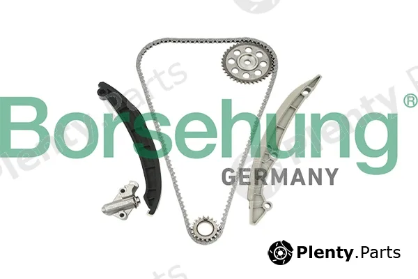 Borsehung B18960 — Timing Chain Kit