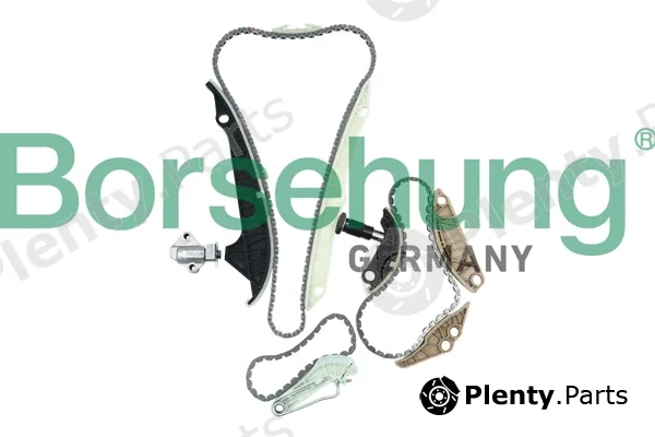 Borsehung B10223 — Timing Chain Kit