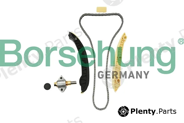 Borsehung B18857 — Timing Chain Kit