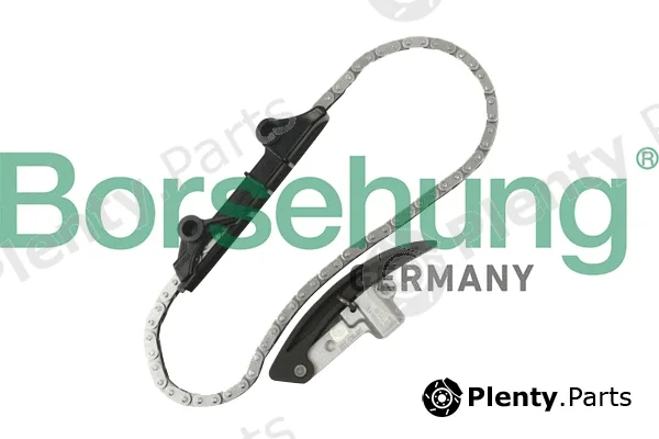 Borsehung B10209 — Timing Chain Kit