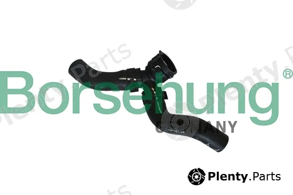 Borsehung B11984 — Radiator Hose