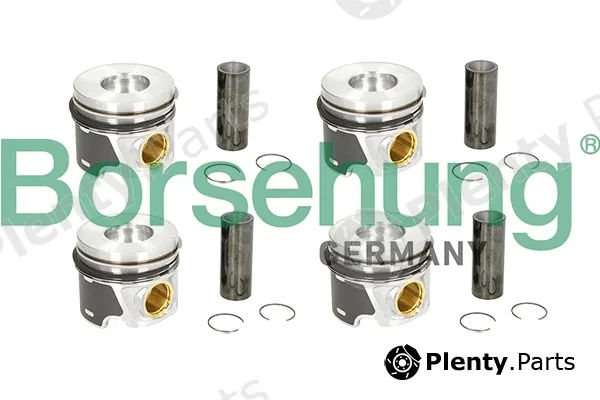 Borsehung B19303 — Piston Ring Kit