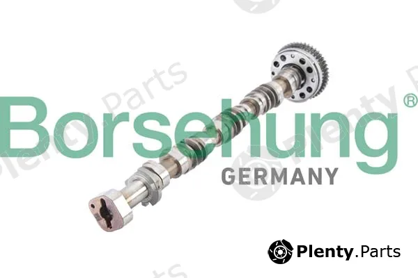 Borsehung B12380 — Camshaft