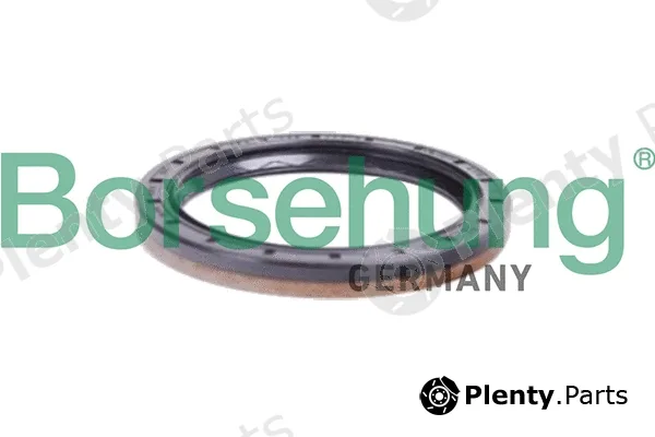 Borsehung B12197 — Shaft Seal, differential