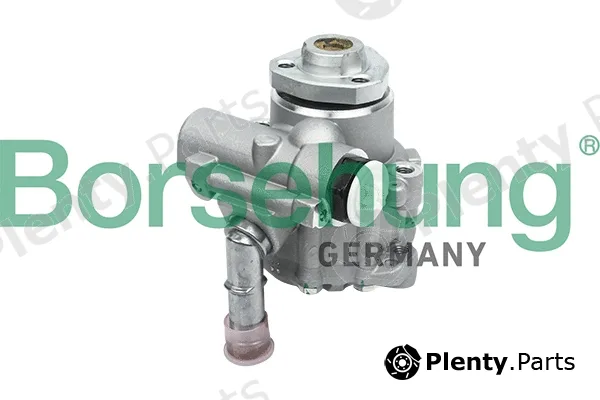 Borsehung B13213 — Hydraulic Pump, steering