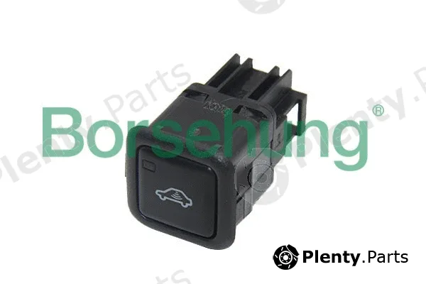 Borsehung B12418 — Switch, door lock system