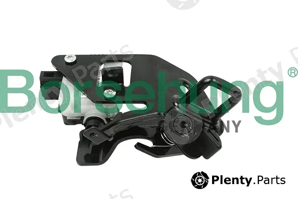 Borsehung B18714 — Tailgate Lock