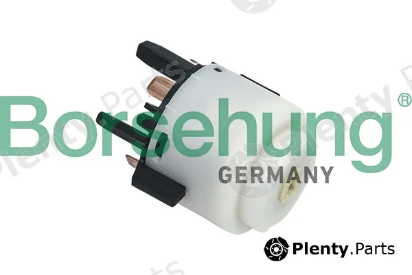 Borsehung B16156 — Ignition Switch