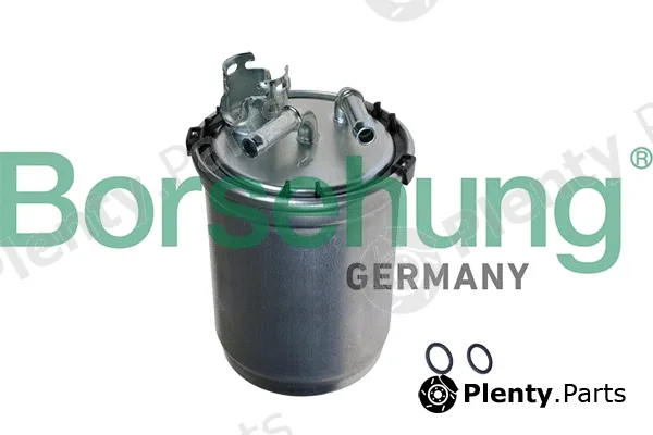 Borsehung B10474 — Fuel Filter