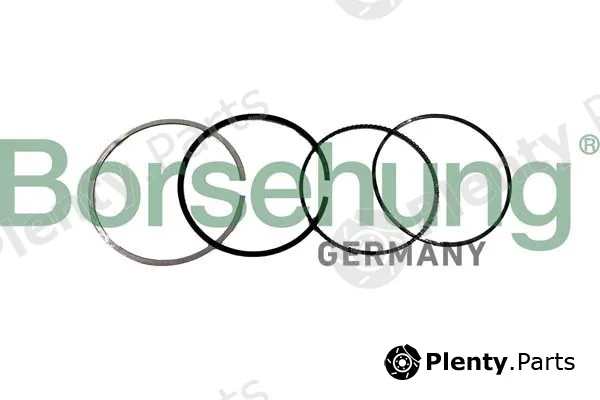 Borsehung B10371 — Piston Ring Kit