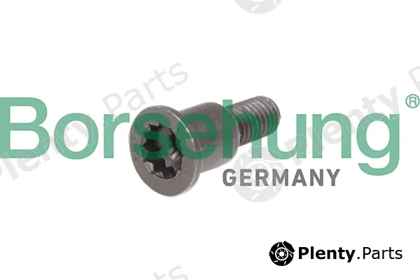 Borsehung B10648 — Sliding Rail Bolts, timing chain