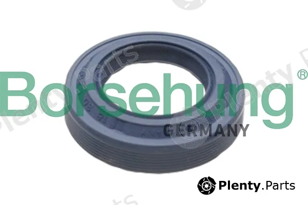 Borsehung B17828 — Shaft Seal, differential