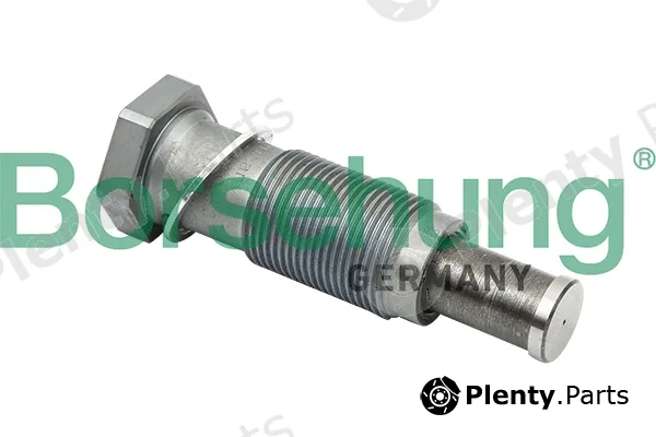 Borsehung B1T012 — Tensioner, timing chain