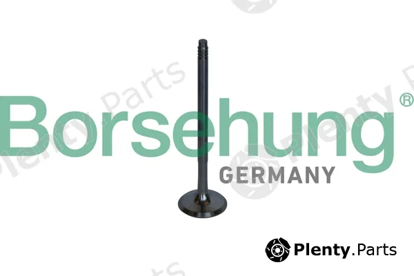 Borsehung B10326 — Exhaust Valve