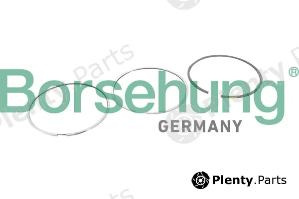 Borsehung B10364 — Piston Ring Kit