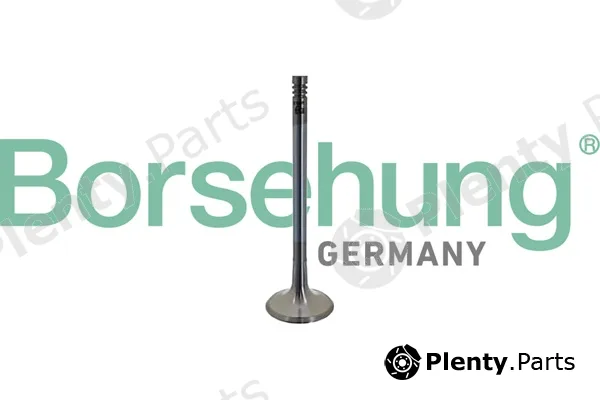 Borsehung B10342 — Piston Ring Kit