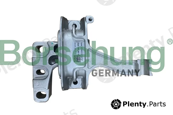 Borsehung B10989 — Mounting, engine