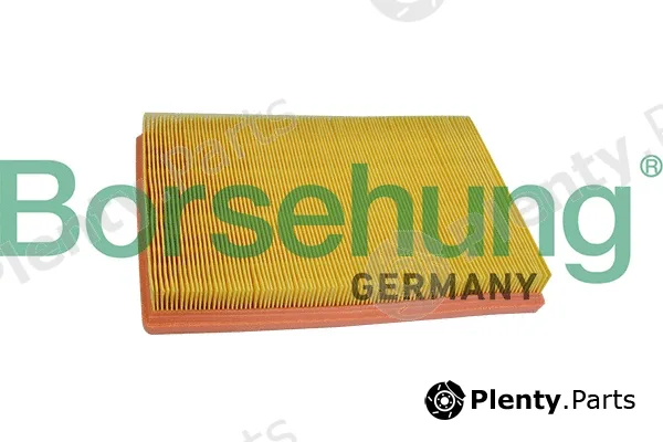 Borsehung B10530 — Air Filter