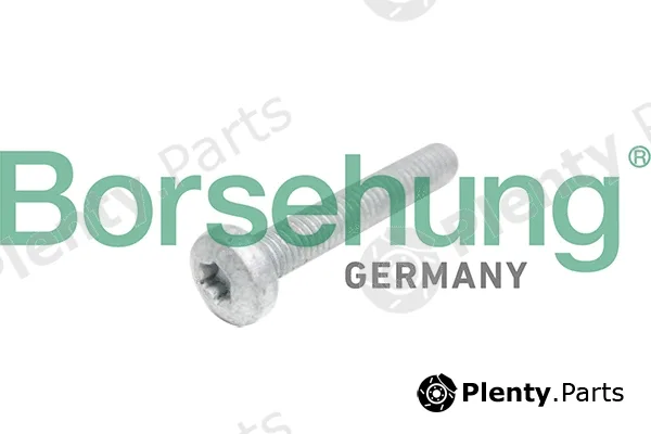 Borsehung B10645 — Cylinder Head Bolt