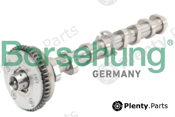 Borsehung B18979 — Camshaft