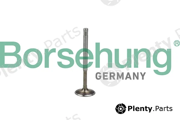 Borsehung B19009 — Exhaust Valve