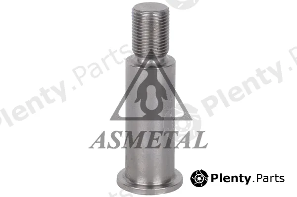 Asmetal 99MR40 — Bearing Journal, tensioner pulley lever