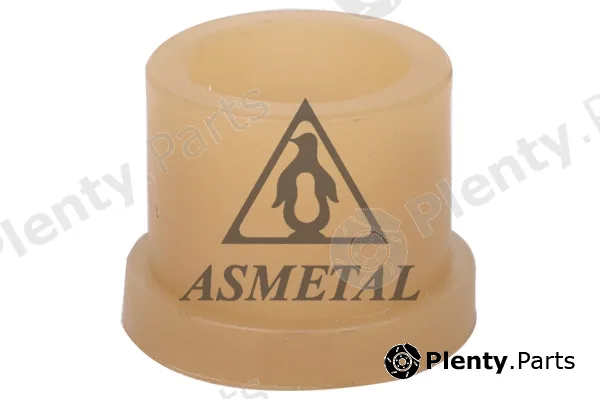 Asmetal 99MR42 — Bearing Journal, tensioner pulley lever