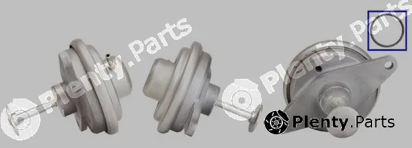 TMI EG00221 — EGR Valve