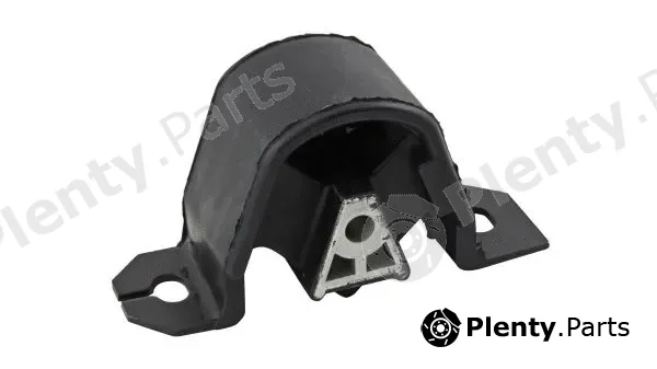 Nakata NB33019 — Mounting, engine