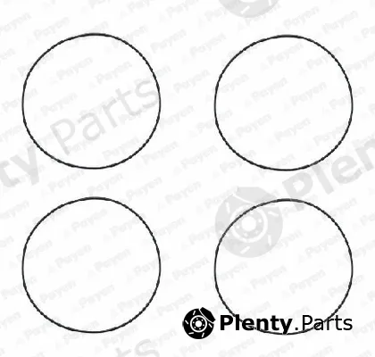 Wilmink Group WG1090644 — O-Ring Set, cylinder sleeve