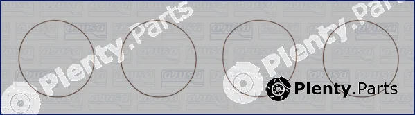 Wilmink Group WG1170191 — O-Ring Set, cylinder sleeve