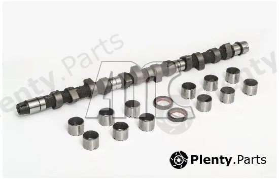 Wilmink Group WG2010601 — Camshaft Kit