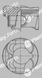 Wilmink Group WG2294815 — Piston