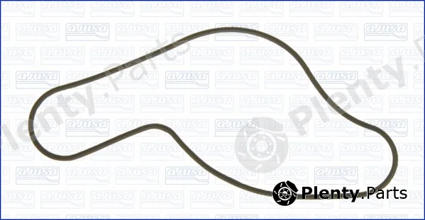 Wilmink Group WG1751209 — Gasket, water pump